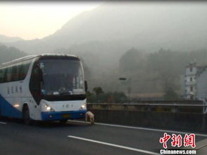祁东到金华多少汽车